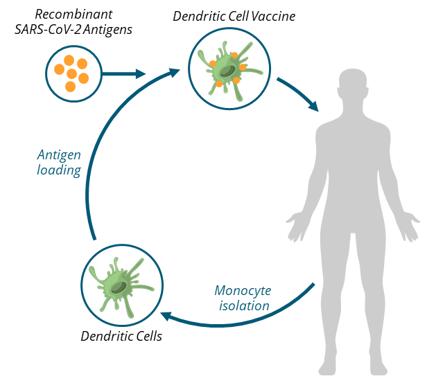 SARS-CoV-2 Vaccine – AIVITA Biomedical